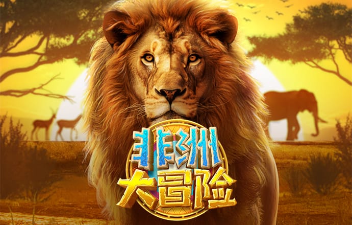 亚搏网app官方入口