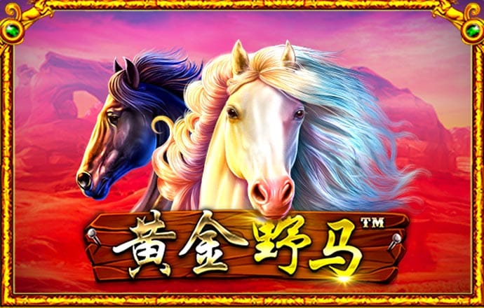 58娱乐彩票网站